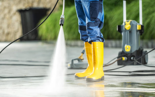 Best Seasonal Cleaning Services in Atwater, MN